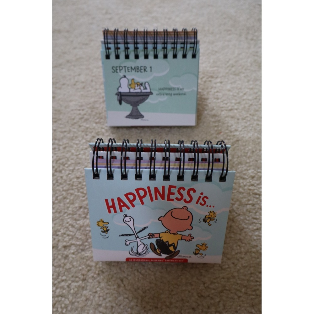 Vintage Peanuts DaySpring Perpetual Calendar OS Blue Charlie Brown Snoopy Flip